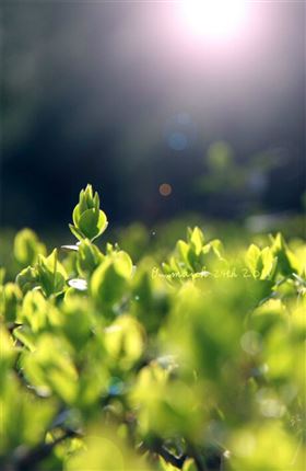 瑞馬燃氣壁掛爐,滿足您的溫暖22